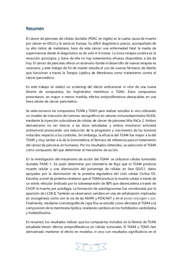 concurso libreria thesis 2014 concurso libreria thesis 2014